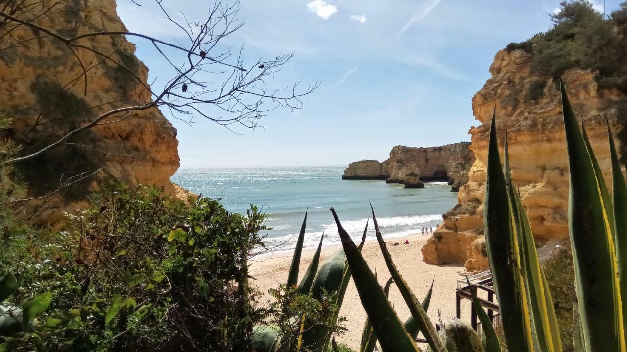 Apartamento O Jardins Da Marina Albufeira Exterior photo